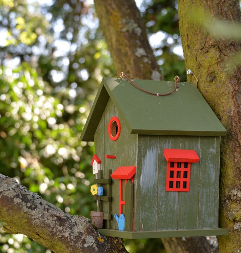 Vogelhäuschen im Garten
