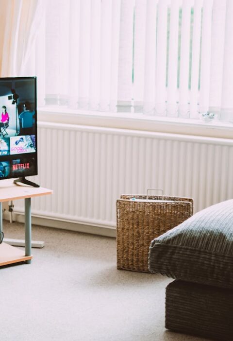 Größe des Fernsehers